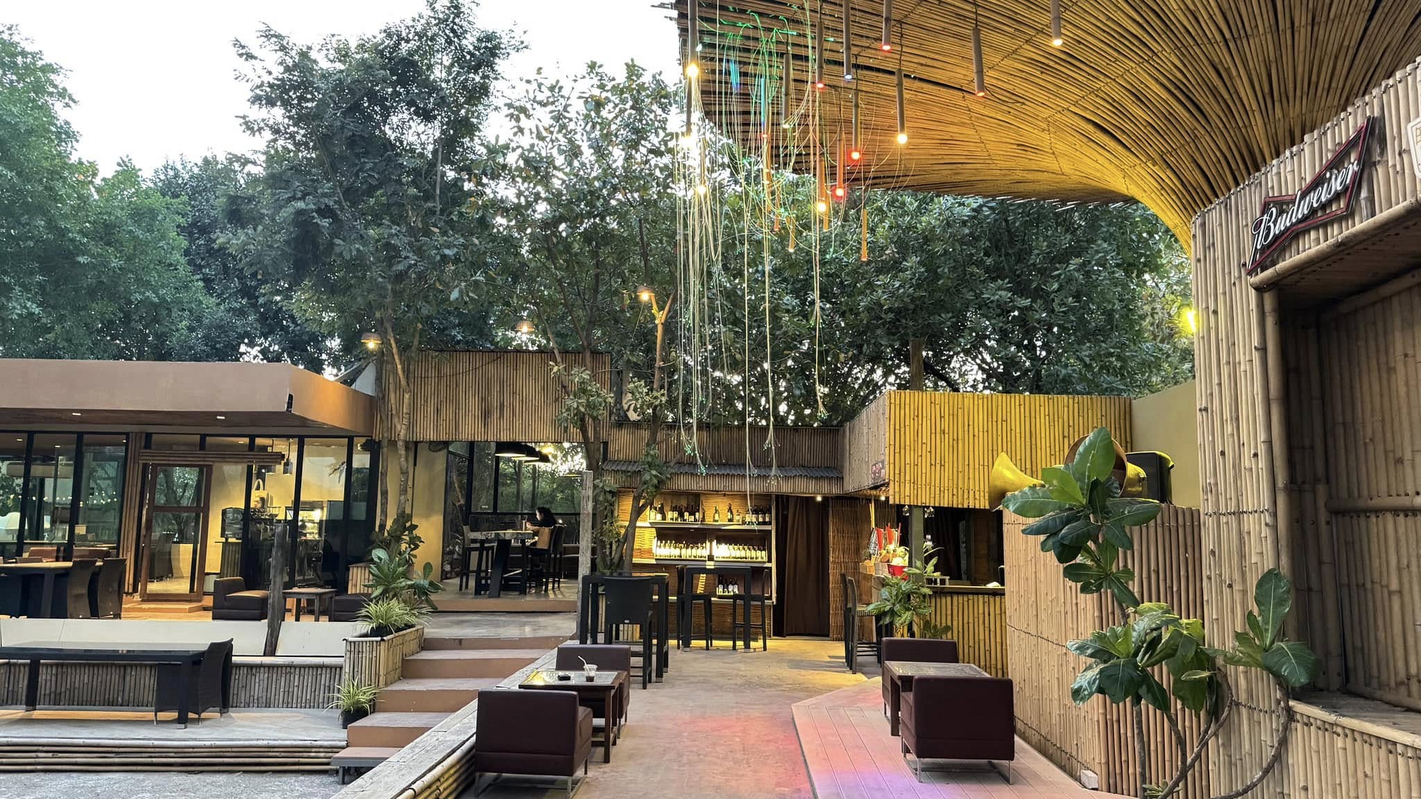Meadow Cafe