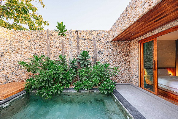 Pool Suite Room